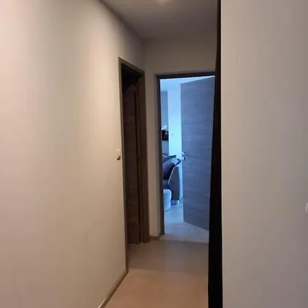 Casa Di L Alivetu Ventiseri