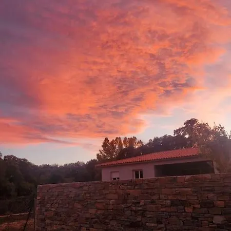 Casa Di L Alivetu Villa *