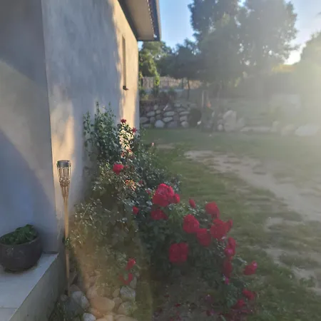 Villa Casa Di L Alivetu