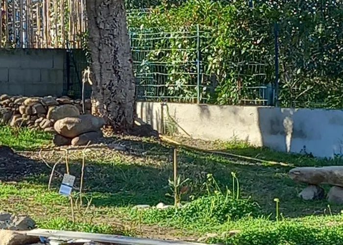 Casa Di L Alivetu Ventiseri